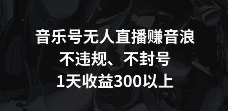 音乐号无人直播赚音浪，不违规、不封号，1天收益300+【揭秘】-泰戈创艺资源库