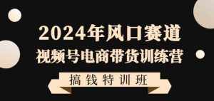 2024年风口赛道视频号电商带货训练营搞钱特训班,带领大家快速入局自媒体电商带货-泰戈创艺资源库