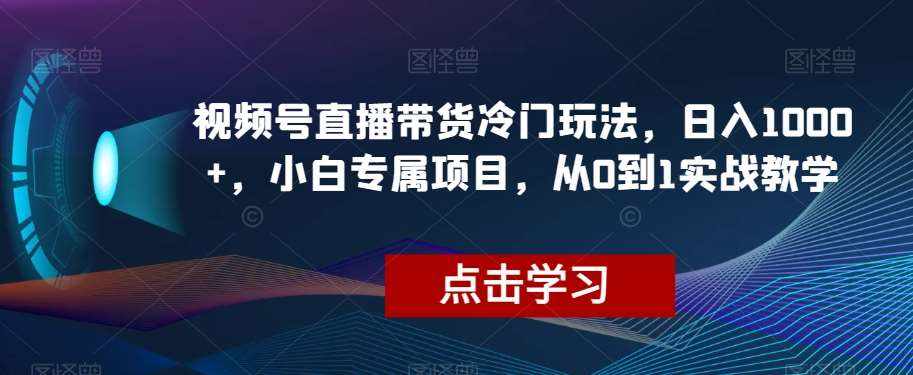 视频号直播带货冷门玩法，日入1000+，小白专属项目，从0到1实战教学【揭秘】-泰戈创艺资源库