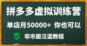 拼多多虚拟电商训练营月入30000+你也行，暴利稳定长久，副业首选-泰戈创艺资源库