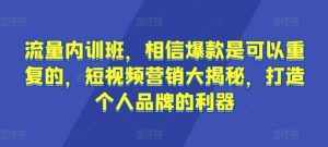 流量内训班,相信爆款是可以重复的,短视频营销大揭秘,打造个人品牌的利器-泰戈创艺资源库
