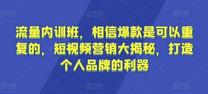 流量内训班，相信爆款是可以重复的，短视频营销大揭秘，打造个人品牌的利器-泰戈创艺资源库