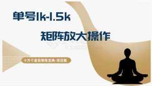 十万个富翁修炼宝典15.单号1k-1.5k，矩阵放大操作-泰戈创艺资源库