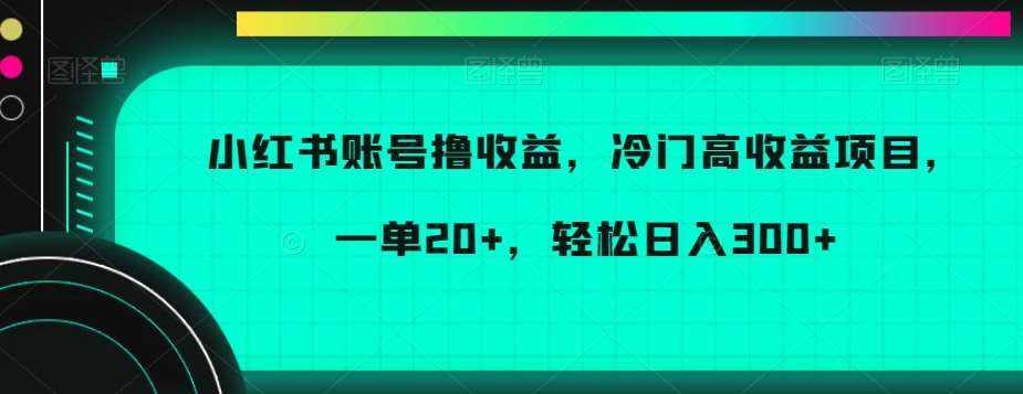 小红书账号撸收益，冷门高收益项目，一单20+，轻松日入300+【揭秘】-泰戈创艺资源库
