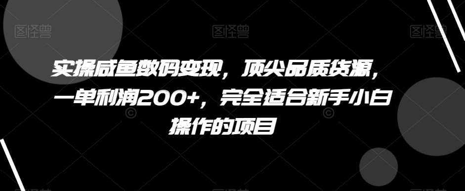 实操咸鱼数码变现，顶尖品质货源，一单利润200+，完全适合新手小白操作的项目【揭秘】-泰戈创艺资源库