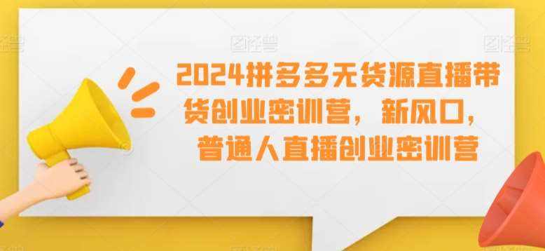 2024拼多多无货源直播带货创业密训营，新风口，普通人直播创业密训营-泰戈创艺资源库