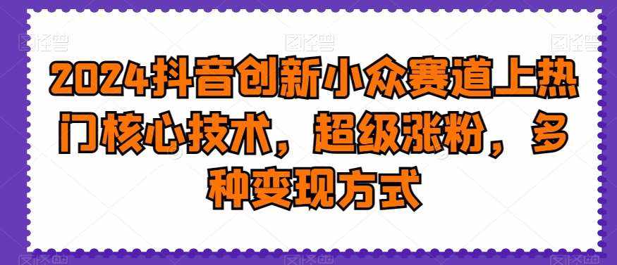 2024抖音创新小众赛道上热门核心技术，超级涨粉，多种变现方式【揭秘】-泰戈创艺资源库