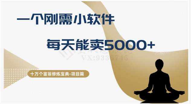 十万个富翁修炼宝典之17.一个刚需小软件，每天能卖5000+-泰戈创艺资源库