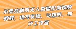 不卖货利用无人直播引流视频教程,地可实操,可矩阵,可开工作室【揭秘】-泰戈创艺资源库