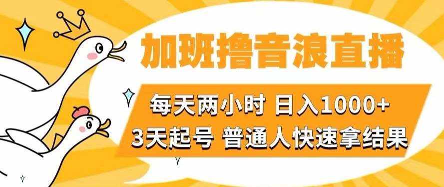 加班撸音浪直播，每天两小时，日入1000+，直播话术才3句，3天起号，普通人快速拿结果【揭秘】-泰戈创艺资源库