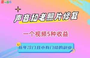 声音和老照片修复,一个视频5种收益,新年冷门且小有门槛的副业【揭秘】-泰戈创艺资源库