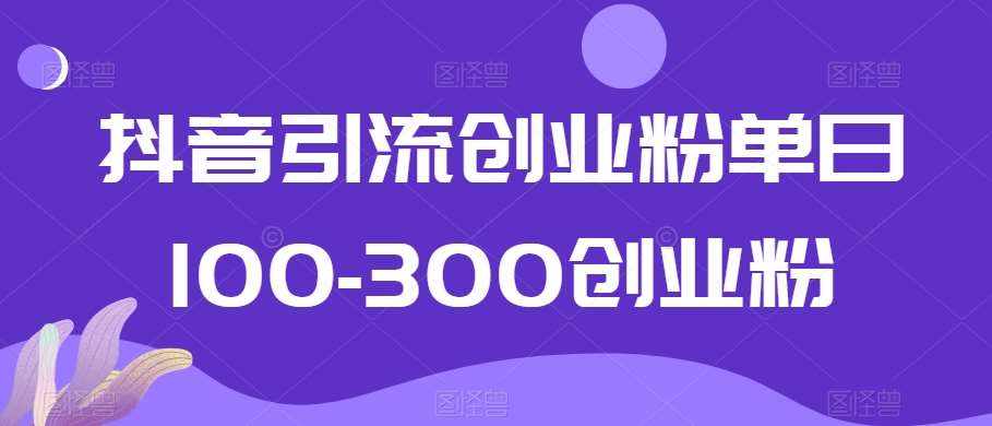 抖音引流创业粉单日100-300创业粉【揭秘】-泰戈创艺资源库