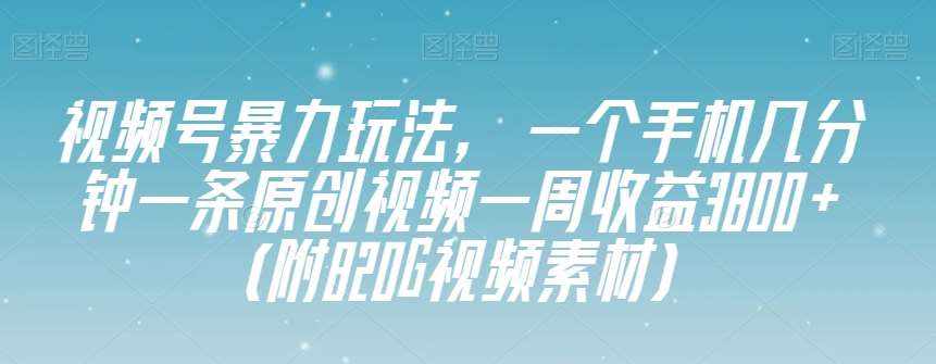 视频号暴力玩法,一个手机几分钟一条原创视频一周收益3800+(附820G视频素材)-泰戈创艺资源库