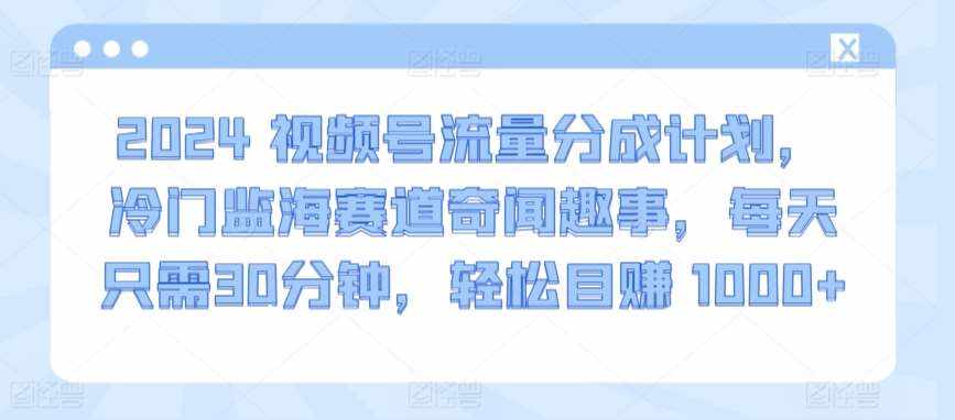 2024视频号流量分成计划，冷门监海赛道奇闻趣事，每天只需30分钟，轻松目赚 1000+【揭秘】-泰戈创艺资源库