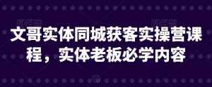 文哥实体同城获客实操营课程，实体老板必学内容-泰戈创艺资源库