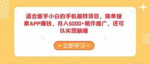适合新手小白的手机搬砖项目，简单搜素APP赚钱，月入5000+稍作推广，还可以实现躺赚【揭秘】-泰戈创艺资源库