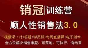 爆款！销冠训练营3.0之顺人性销售法，全方位解决销售难题、可落地、可执行、有结果-泰戈创艺资源库