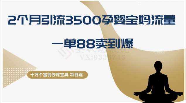 十万个富翁修炼宝典之13.2个月引流3500孕婴宝妈流量,一单88卖到爆-泰戈创艺资源库