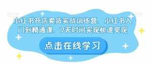 小红书开店卖货实战训练营，小红书入门到精通课，7天时间实现快速变现-泰戈创艺资源库