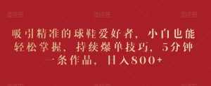 吸引精准的球鞋爱好者，小白也能轻松掌握，持续爆单技巧，5分钟一条作品，日入800+【揭秘】-泰戈创艺资源库