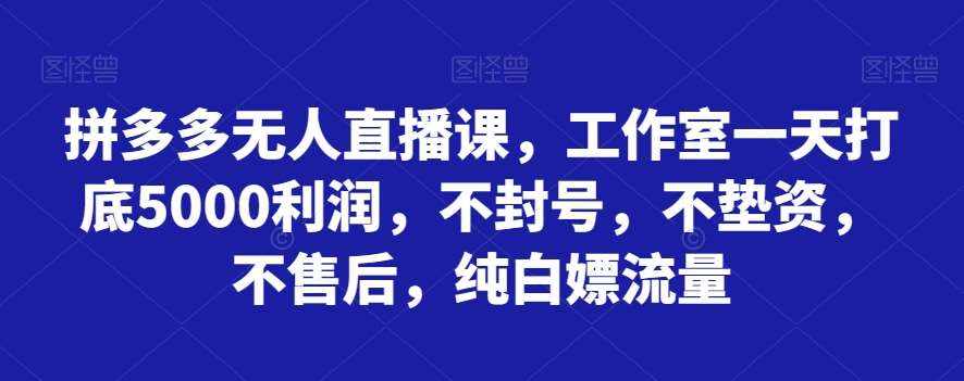拼多多无人直播课，工作室一天打底5000利润，不封号，不垫资，不售后，纯白嫖流量-泰戈创艺资源库