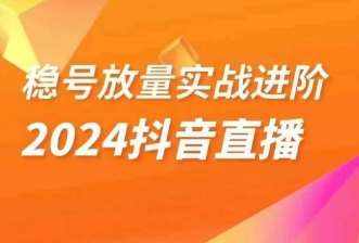 稳号放量实战进阶—2024抖音直播,直播间精细化运营的几大步骤-泰戈创艺资源库