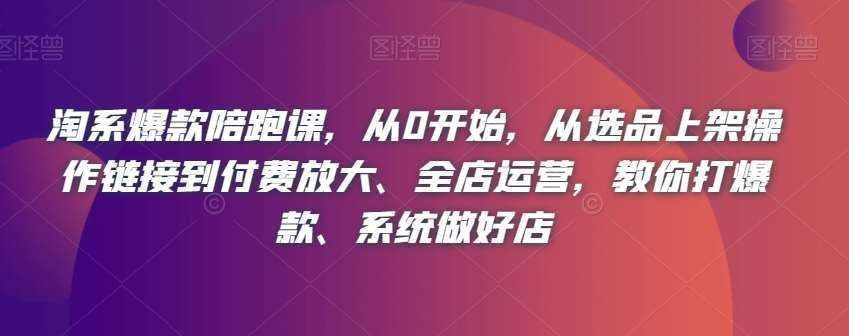 淘系爆款陪跑课，从0开始，从选品上架操作链接到付费放大、全店运营，教你打爆款、系统做好店-泰戈创艺资源库