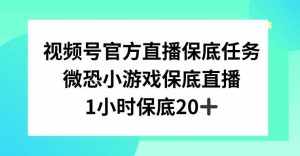 视频号直播任务，微恐小游戏，1小时20+【揭秘】-泰戈创艺资源库