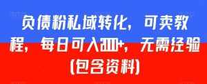负债粉私域转化，可卖教程，每日可入2000+，无需经验（包含资料）【揭秘】-泰戈创艺资源库