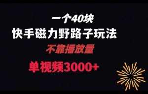一个40块,快手联合美团磁力新玩法,无视机制野路子玩法,单视频收益4位数【揭秘】-泰戈创艺资源库