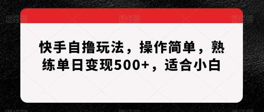 快手自撸玩法，操作简单，熟练单日变现500+，适合小白【揭秘】-泰戈创艺资源库