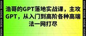 浩哥的GPT落地实战课,主攻GPT,从入门到高阶各种高端法一网打尽-泰戈创艺资源库