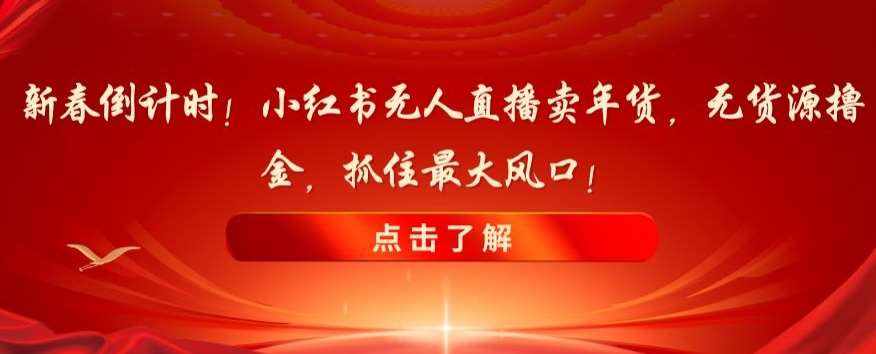 新春倒计时！小红书无人直播卖年货，无货源撸金，抓住最大风口【揭秘】-泰戈创艺资源库