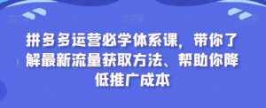 拼多多运营必学体系课，带你了解最新流量获取方法、帮助你降低推广成本-泰戈创艺资源库