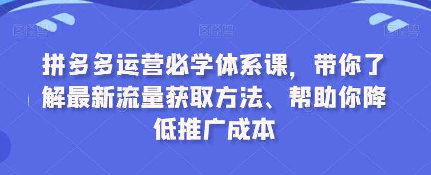 拼多多运营必学体系课，带你了解最新流量获取方法、帮助你降低推广成本-泰戈创艺资源库