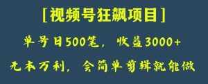 日收款500笔,纯利润3000+,视频号狂飙项目,会简单剪辑就能做【揭秘】-泰戈创艺资源库
