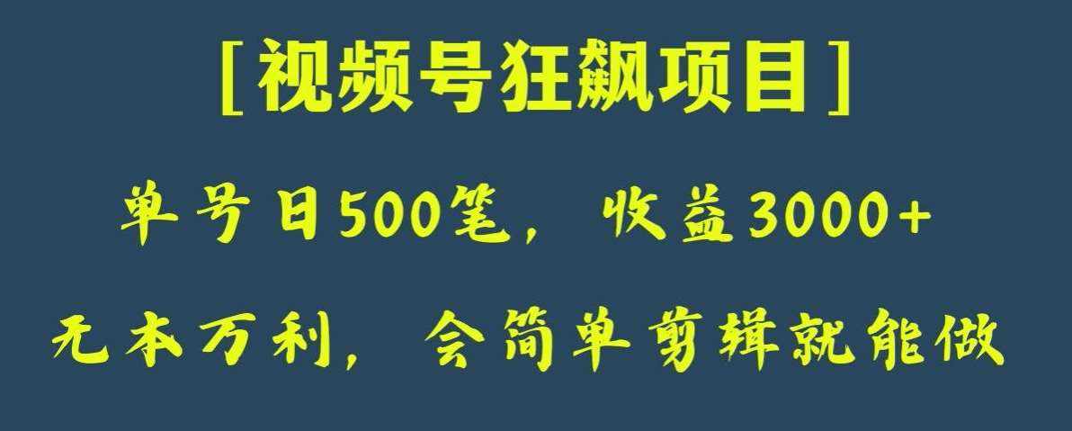 日收款500笔，纯利润3000+，视频号狂飙项目，会简单剪辑就能做【揭秘】-泰戈创艺资源库