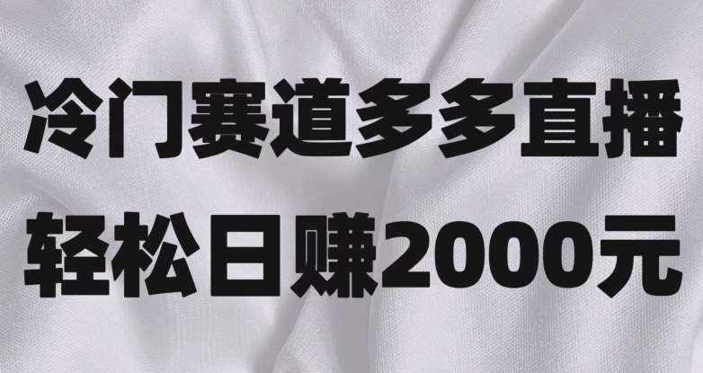 冷门赛道拼多多直播，简单念稿子，日收益2000＋【揭秘】-泰戈创艺资源库
