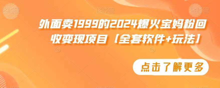 外面卖1999的2024爆火宝妈粉回收变现项目【全套软件+玩法】【揭秘】-泰戈创艺资源库