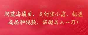 新蓝海项目,支付宝小店,搬运商品和视频,实现月入一万+【揭秘】-泰戈创艺资源库