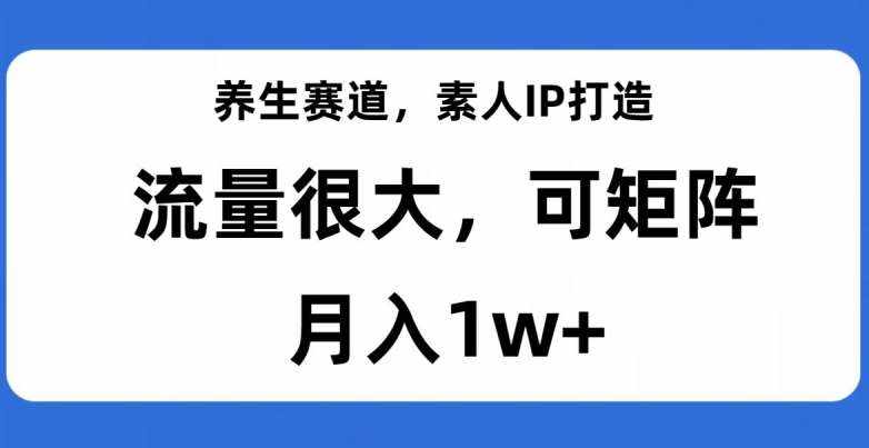 养生赛道，素人IP打造，流量很大，可矩阵，月入1w+【揭秘】-泰戈创艺资源库