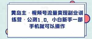 黄岛主·视频号流量变现副业训练营·公测1.0,小白新手一部手机就可以操作-泰戈创艺资源库