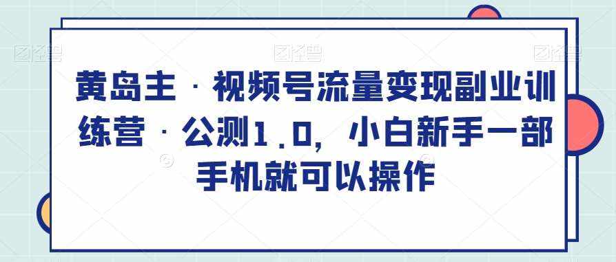 黄岛主·视频号流量变现副业训练营·公测1.0，小白新手一部手机就可以操作-泰戈创艺资源库