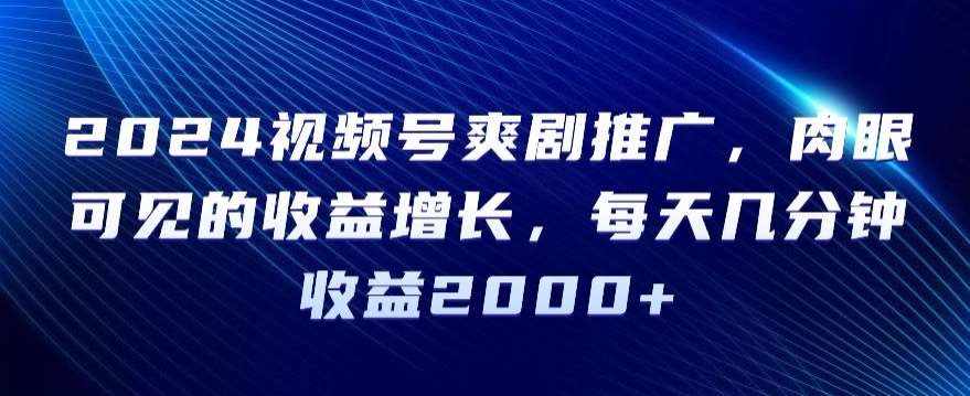 2024视频号爽剧推广,肉眼可见的收益增长,每天几分钟收益2000+【揭秘】-泰戈创艺资源库