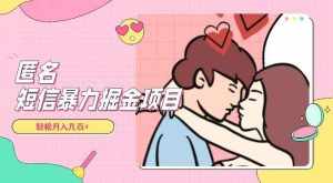 全网首发,揭秘超冷门匿名短信项目,通过信息差日入几百+【揭秘】-泰戈创艺资源库