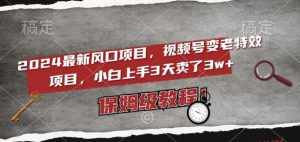 2024最新风口项目，视频号变老特效项目，电脑小白上手3天卖了3w+，保姆级教程【揭秘】-泰戈创艺资源库