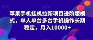 苹果手机挂机拉新项目进阶版模式,单人单台多台手机操作长期稳定,月入10000+【揭秘】-泰戈创艺资源库