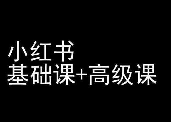 小红书基础课+高级课-小红书运营教程-泰戈创艺资源库