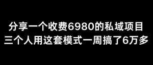 分享一个外面卖6980的私域项目三个人用这套模式一周搞了6万多【揭秘】-泰戈创艺资源库