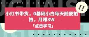 小红书带货,0基础小白每天随便拍拍,月赚3W【揭秘】-泰戈创艺资源库